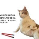 GS25 영천창신점 | 청담 맛집 : 아쯔마로 우동 소바 매운우동 청담역 맛집 점메추 저메추
