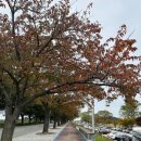 송이조각공원 화장실 이미지