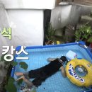 시장토종닭집