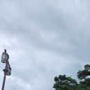 천은사 | &lt;구례하동여행&gt;구례 천은사 여행 후기 | 지리산 벚꽃길, 단풍명소, 성삼재 드라이브코스 완벽정리