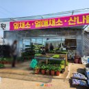 대구 북구 모종 풍경원에서 구입 후 베란다 텃밭 만들기