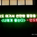 영흥초 병설유치원 티스토리