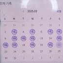 달리다컴 이미지