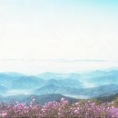 달콤한향기 이미지