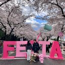 4월 경주 2박3일 여행 코스 추천 (+대릉원, 동궁과월지, 행리단길 맛집 후기)