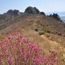 제76회차 산행안내입니다 이미지