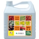 (주)아그로코리아