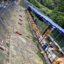 양구벌꿀 이미지