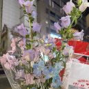 석꾼 - 창원시 성산구 가음정로23번길 10-36 | 창원 중앙동 삼겹살 맛집 | “석꾼 본점” 구워주는 고기집 내돈내산 후기