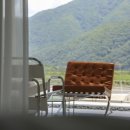 베지아웃 이미지