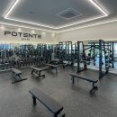 포텐터짐1205 이미지