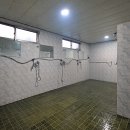 고성 잔디 캠핑장 이미지