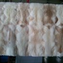 스타항균세탁 이미지