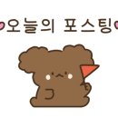 강쥐애견샵 이미지