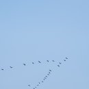 장항오토캠핑장 이미지