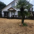 완도동물병원 | 반려견동반 서귀포 한달살기숙소, 넓은 잔디 마당의 표선 크라운캐슬