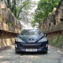 푸지트 | with 308SW #43 푸조와 함께 한 일상...그리고 자동차검사 &amp; 엔진오일 교환