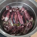 예가공방 | 오징어철 국내산 생물 초코 오징어 당근마켓 3kg 택배주문 군산 지곡동 경은식품공방 솔직후기