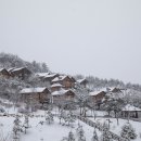 국립산림치유원 이미지
