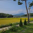 운봉의뜰 이미지