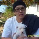 효산농장 이미지