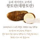 차칸농부