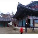 영천시 경계 도로옆 Daum카페