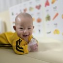 코끼리셀프 | [육아템 리뷰] 국민 치발기 등극? 메디토이 코끼리 손목 치발기 사용 후기! (ft. 세척법)