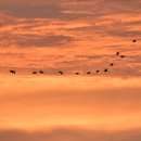 명곡 ＜노을 ＞의 실제 무대 이미지