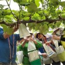 김삿갓면-2 이미지