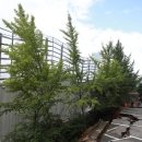 금천구청 앞 이미지