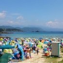 (유)하마 이미지