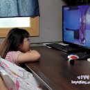 창작 인형극 - 파란토끼 룰루의 모험 이미지