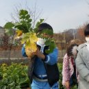 고골농장 이미지