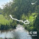 김정문알로에양산 | 중인 주말부부 27주차 예비맘의 하루 루틴 🌿(평택 임산부요가, 김정문 알로에팩, 셀룰라 내돈내산 후기)