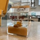 로즈갤러리 이미지