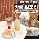 펫파트너 주식회사 | [카페 임초리] 가평 애견동반 가볼만한곳 편안한 분위기가 마음에 들었던 펫프렌들리카페