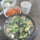 울산여행 (대왕암공원, 십리대숲) 솔직후기