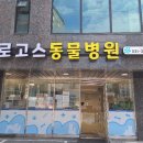 로고스 동물병원 네이버블로그