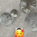 광주 대인동 [라나스튜디오] 여권사진 촬영 후기✨