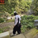 양산 천성산(원효봉) 화엄늪 억새 등산 후기