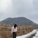 마중오름 | 🍊 제주 4│혼자 눈오는 오름 탐방하기 │용눈이│다랑쉬│다랑쉬굴까지│카페 한라산
