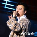 늙은 개 이미지