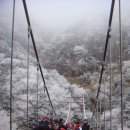 주상농장 이미지