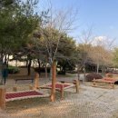 파주시유아숲체험원 이미지