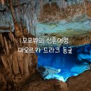 화도진음악회(현장, 온라인) | [마요르카 신혼여행] 거대한 지하 호수와 음악회가 있는 드라크 동굴(Cuevas del Drach) 예매 및 방문 꿀팁