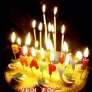생일 이미지