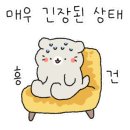 포워드휘트니스 네이버블로그