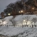 스카이 돔 나이트 이미지