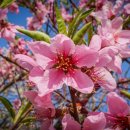 미성동-38 이미지